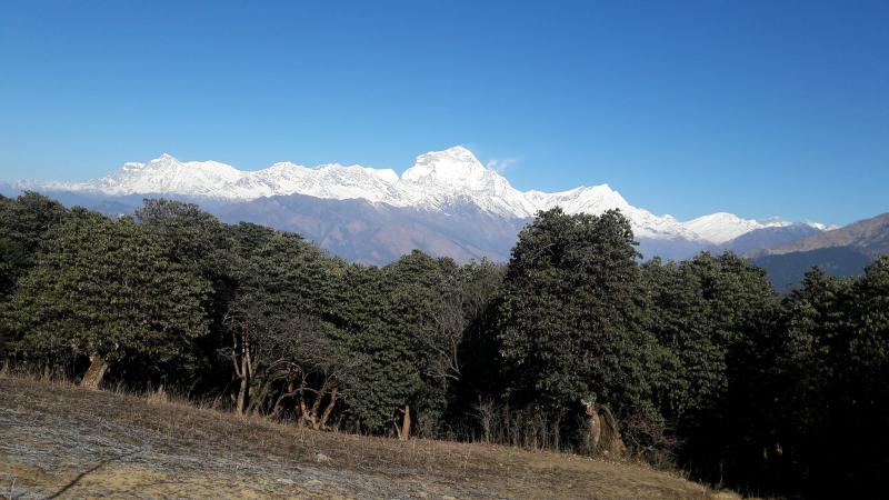 Dhaulagiri view from Poon Hill