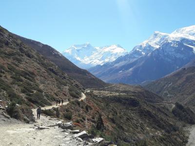 Mardi Himal Trek